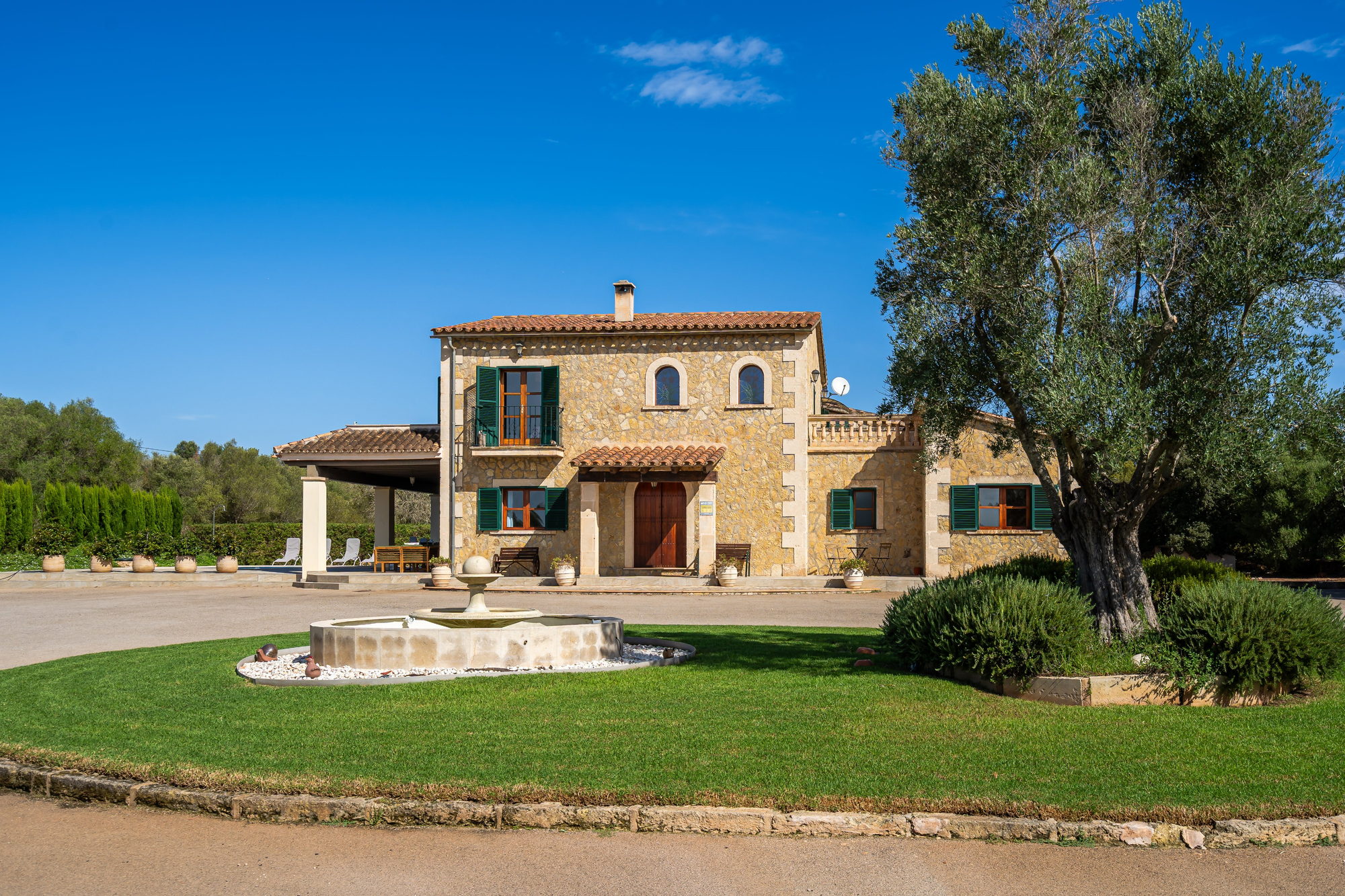 Stone house, fountain and an olive tree