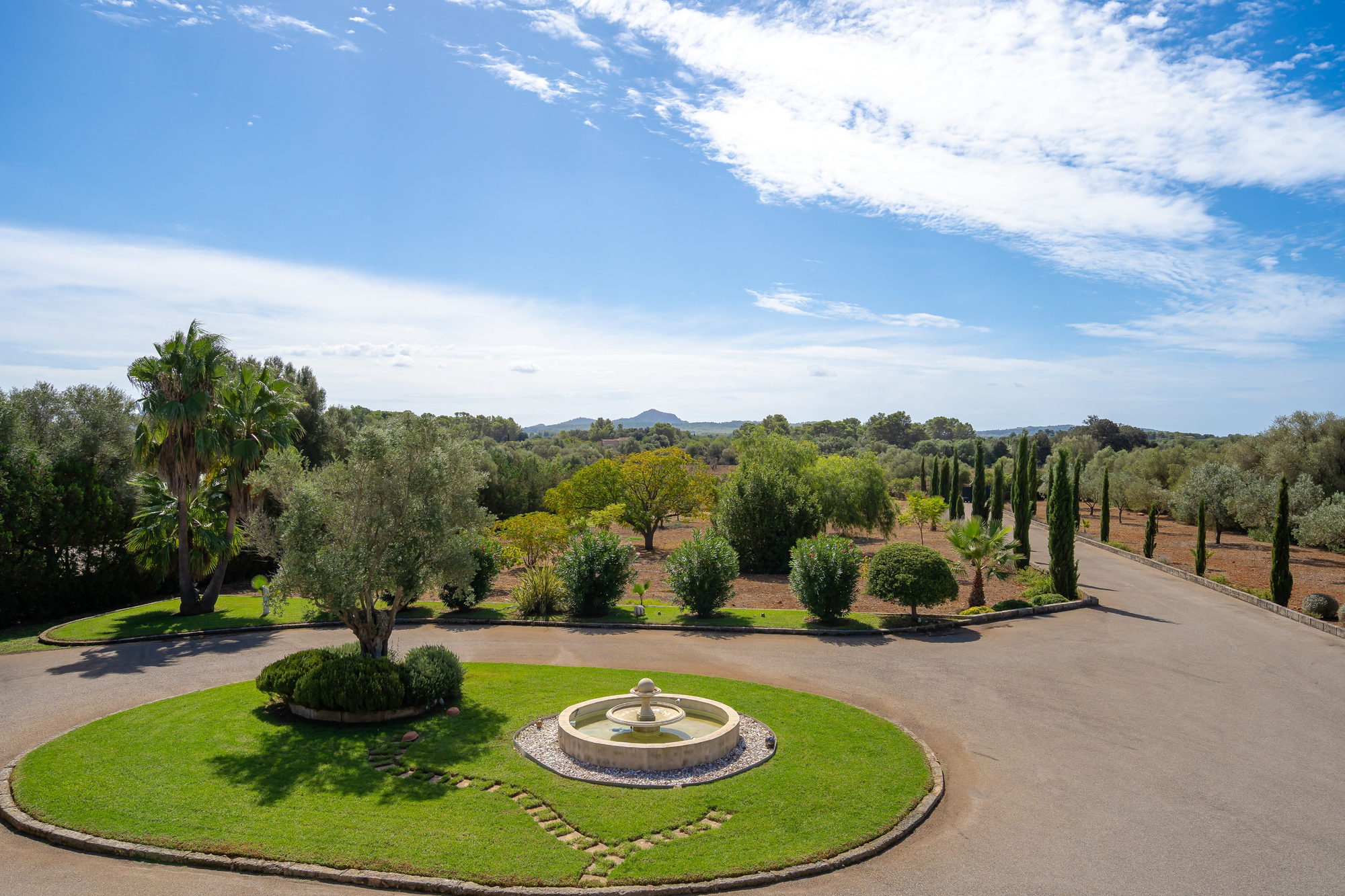 Fountain, olives and the garden looking toward the hills