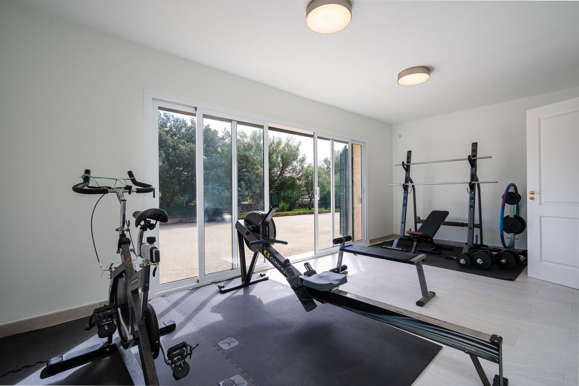 Gym with rower, exercise bike and weights by the garden doors