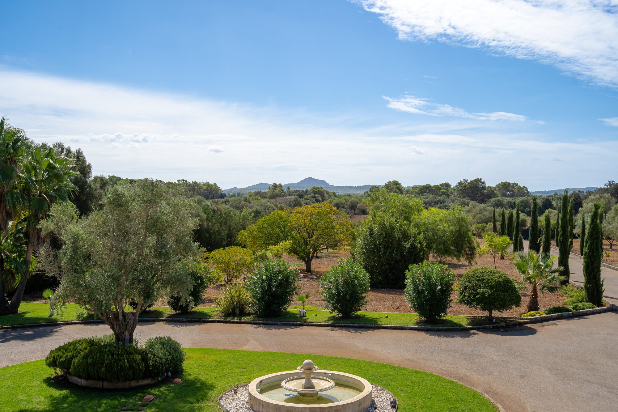 Olive groves and the fountain from the first floor